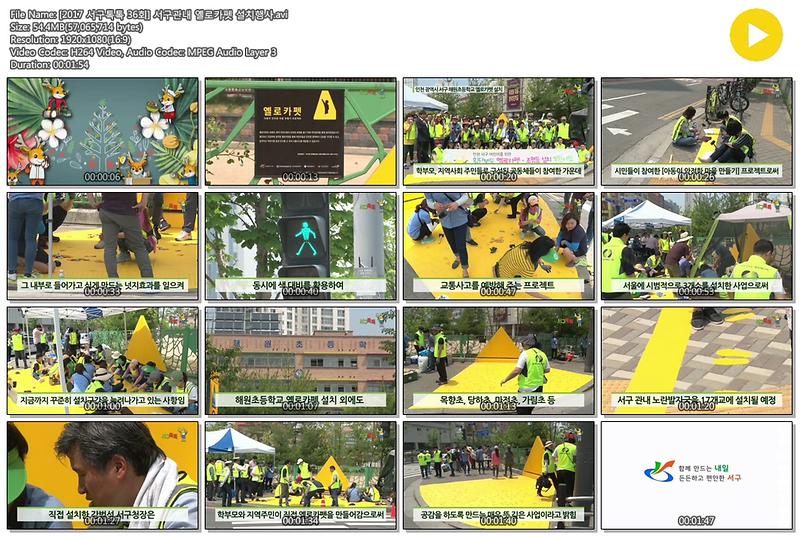 [2017 서구톡톡 36회] 서구관내 옐로카펫 설치행사 사진
